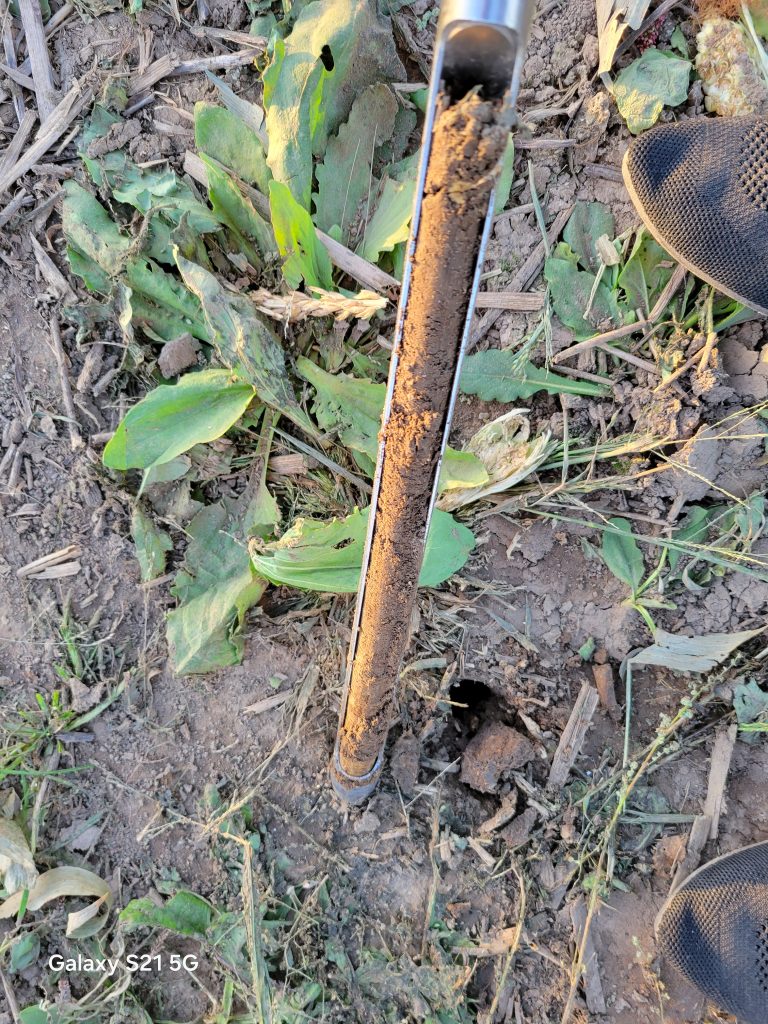 Corn Field Trials