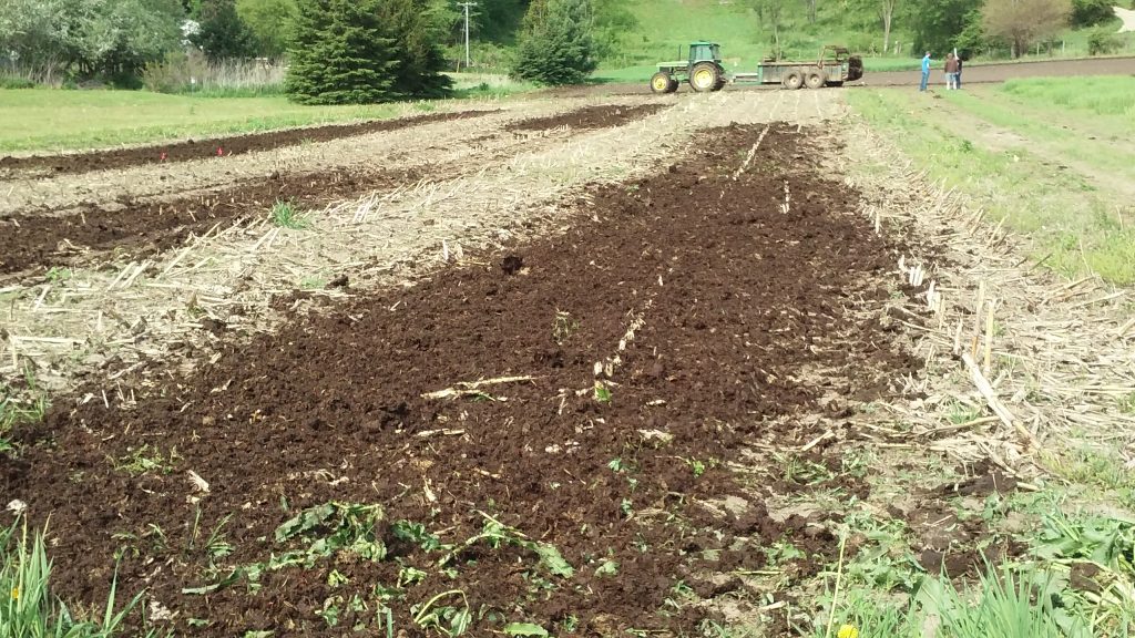 Corn Field Trials