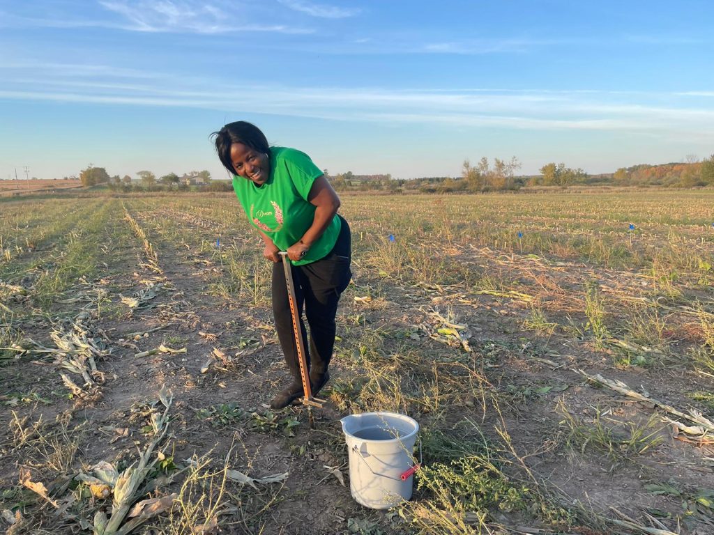Corn Field Trials