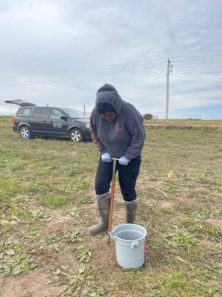 Corn Field Trials