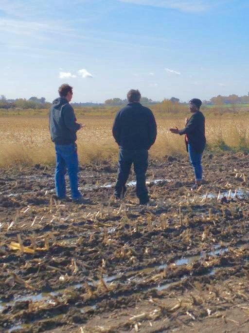 Corn Field Trials