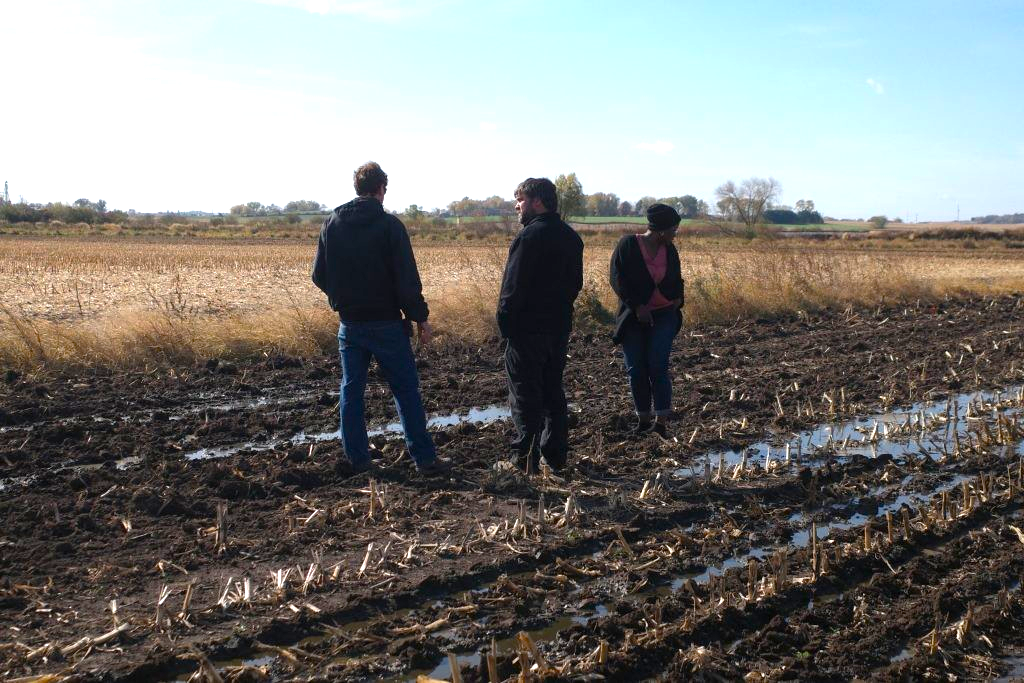 Corn Field Trials